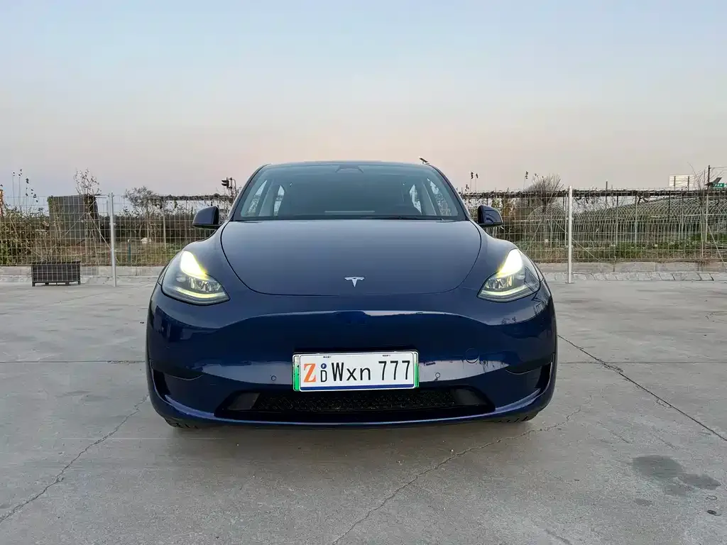 Tesla Model Y — фото 2