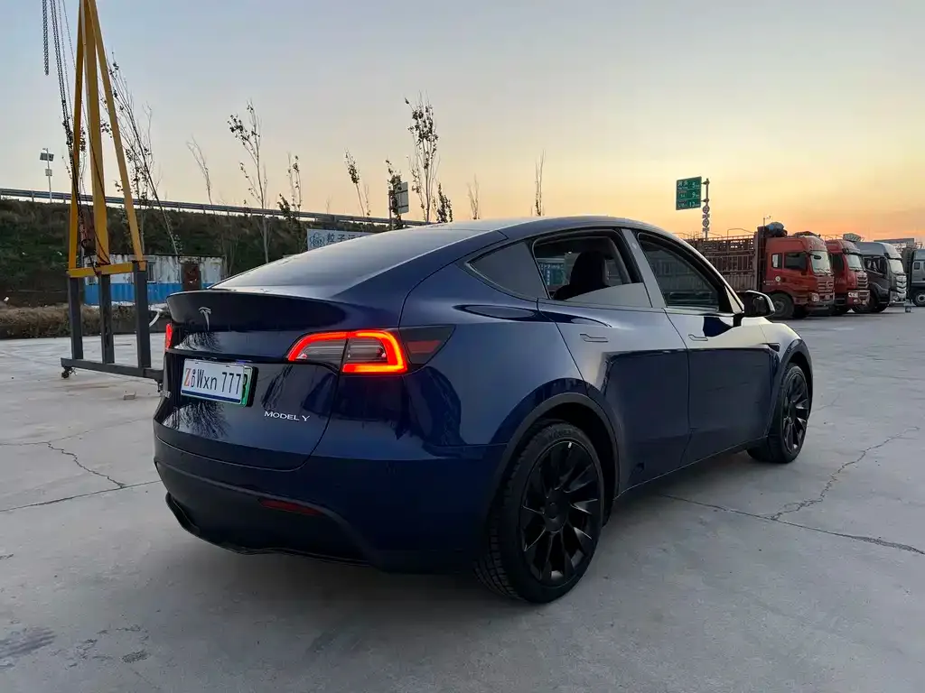 Tesla Model Y — фото 8
