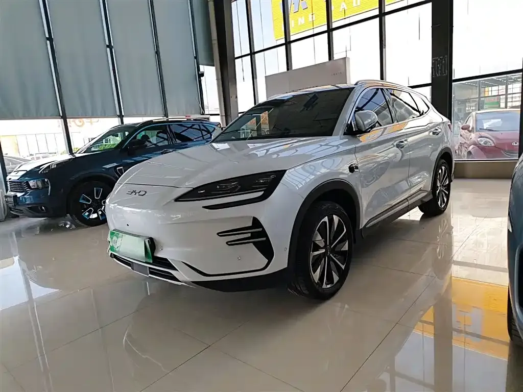 BYD PLUS New Energy 2025 из CN, фото 1