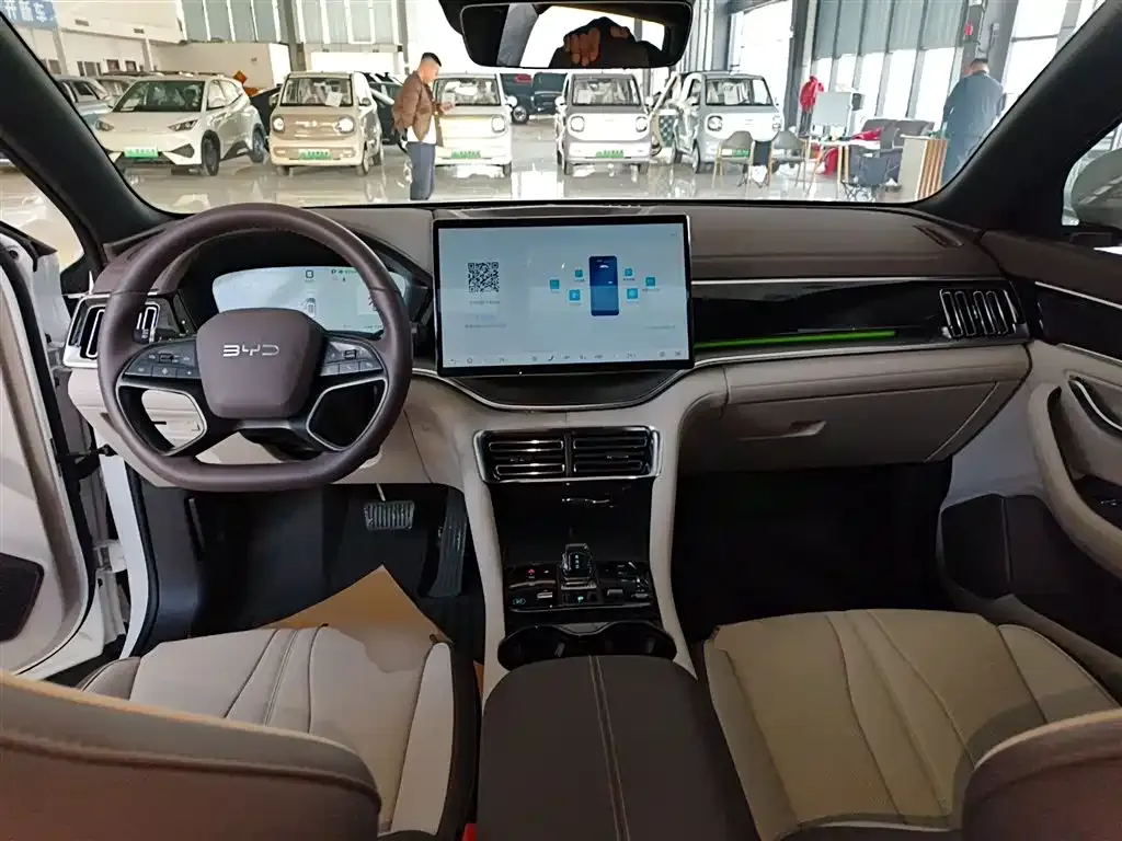 BYD PLUS New Energy 2025 из CN, фото 10