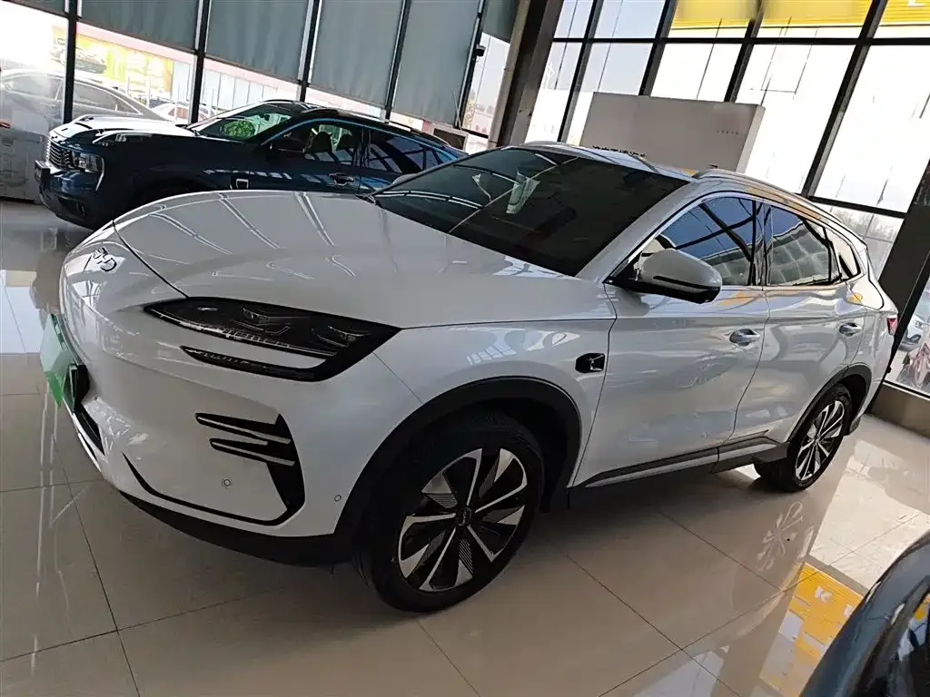 BYD PLUS New Energy 2025 из CN, фото 5