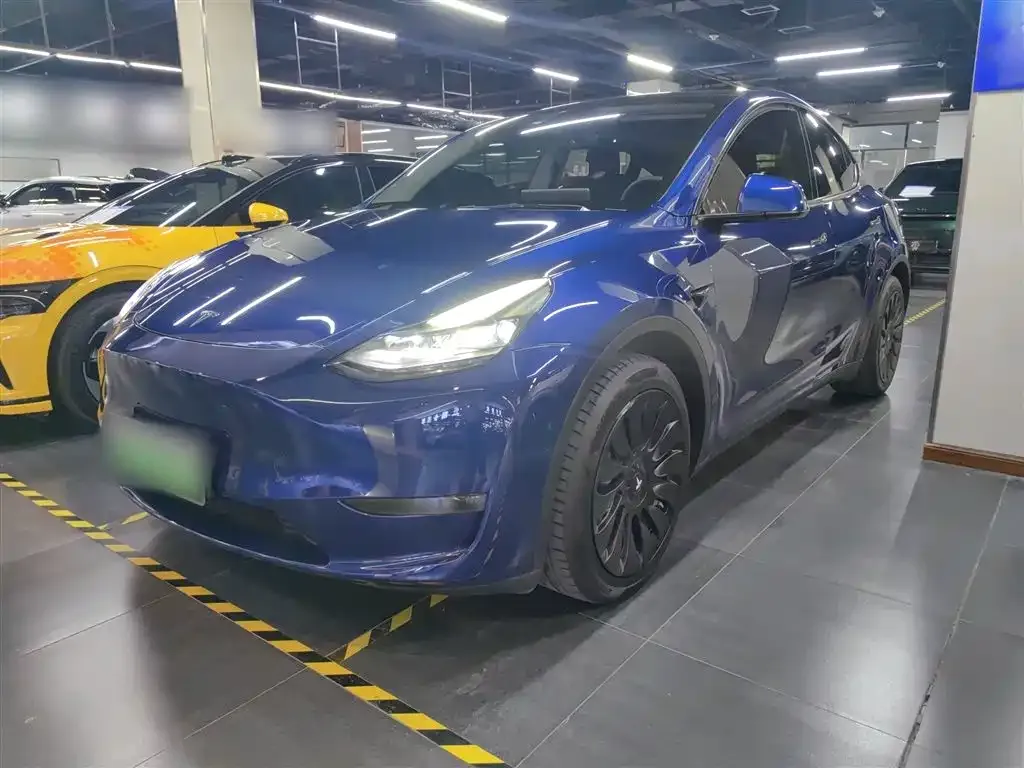 Tesla Model Y 2021 из CN, фото 2