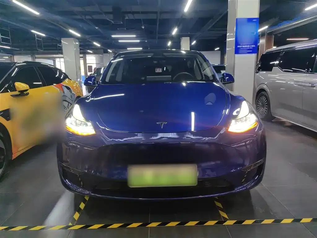 Tesla Model Y 2021 из CN, фото 3