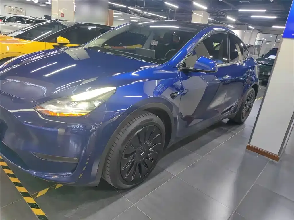 Tesla Model Y 2021 из CN, фото 5