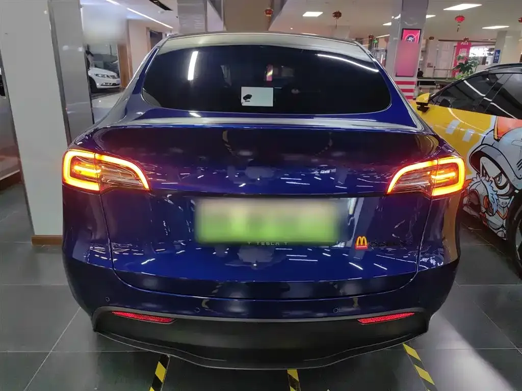 Tesla Model Y 2021 из CN, фото 6