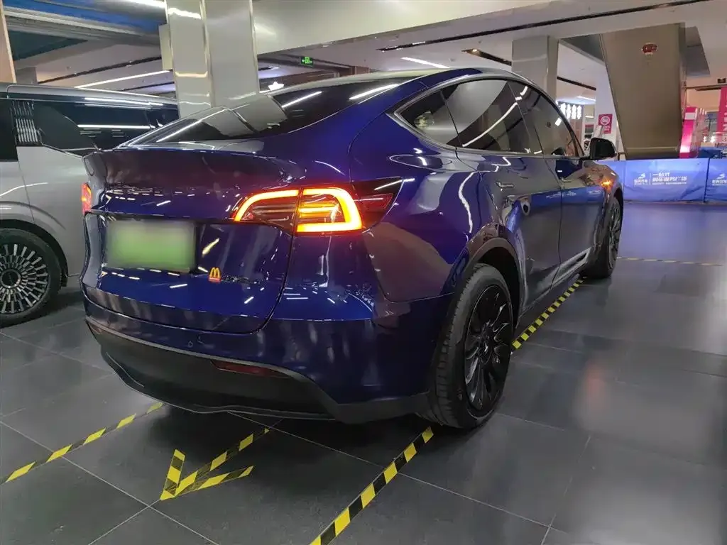 Tesla Model Y 2021 из CN, фото 7