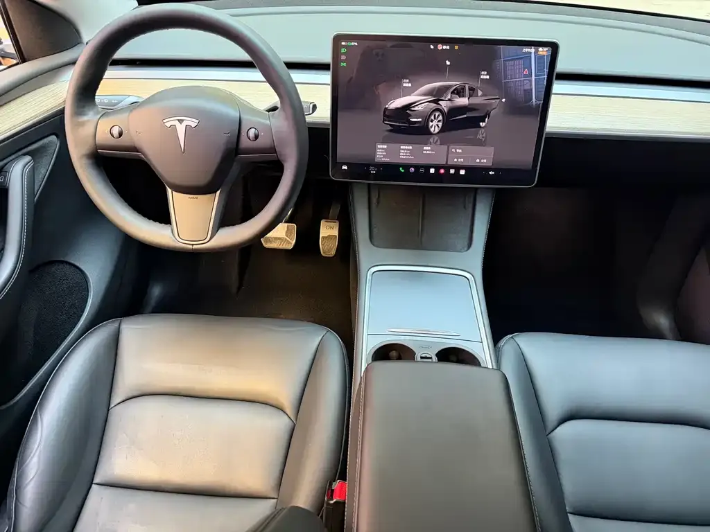 Tesla Model Y — фото 10