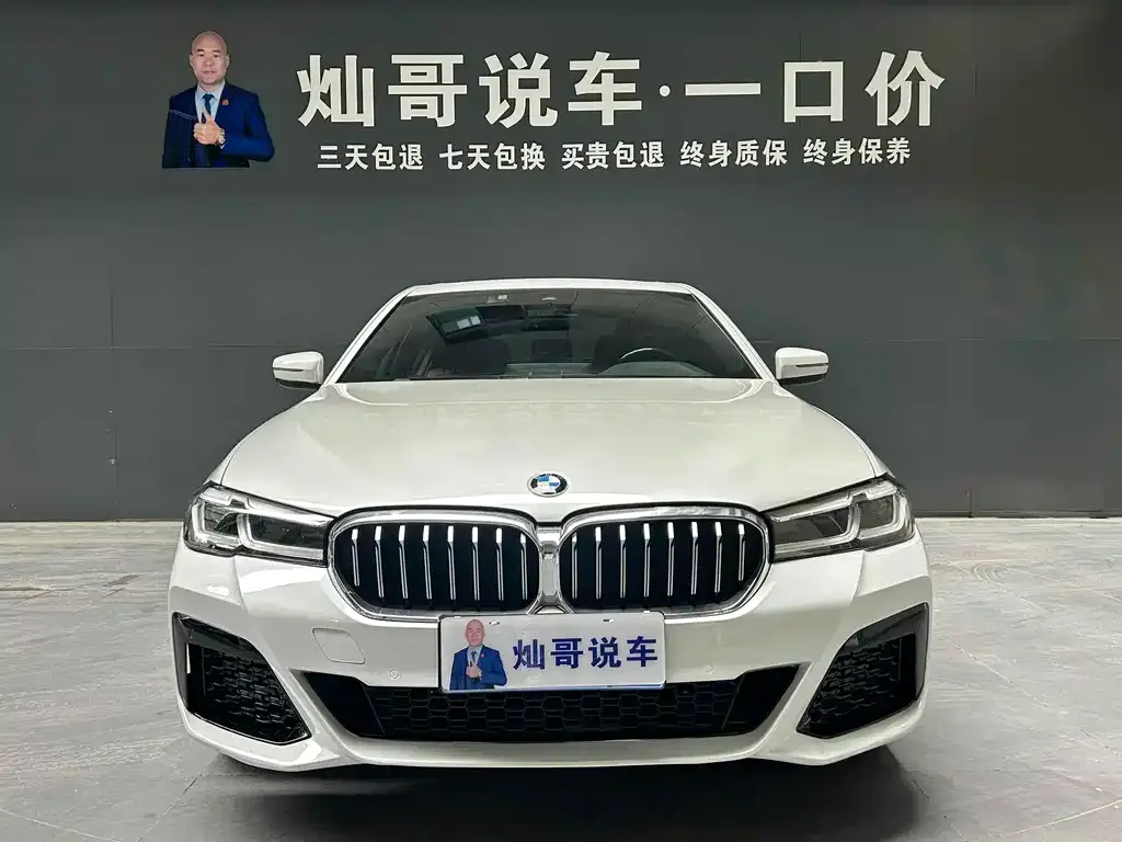 BMW 5 Series 2021 из CN, фото 3