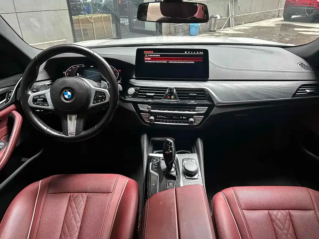 BMW 5 Series 2021 из CN, фото 5