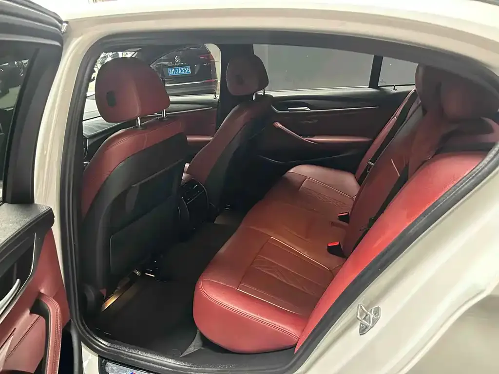 BMW 5 Series 2021 из CN, фото 6