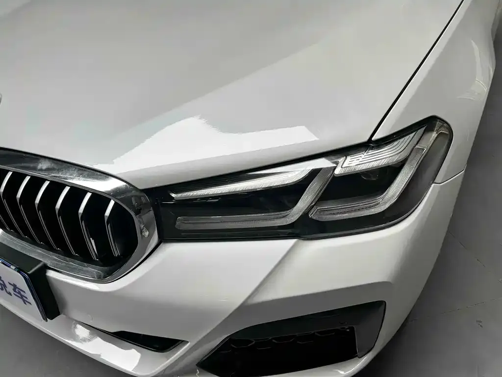BMW 5 Series 2021 из CN, фото 7