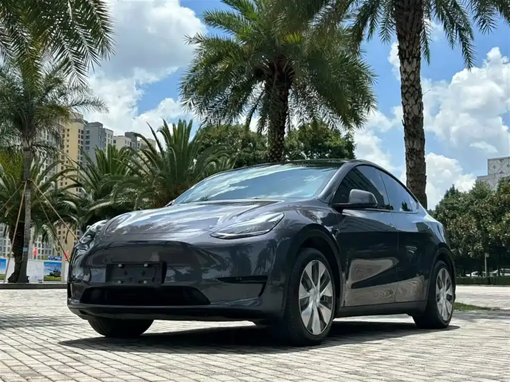 Tesla Model Y — фото 1