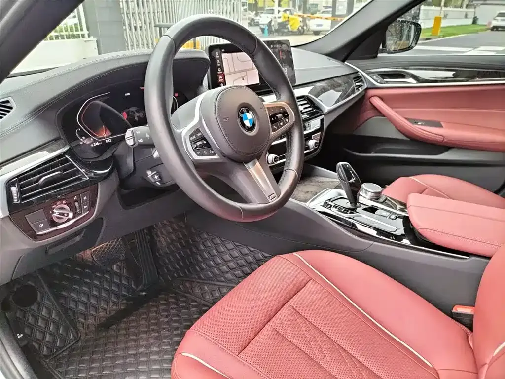 BMW 5 Series 2023 из CN, фото 10