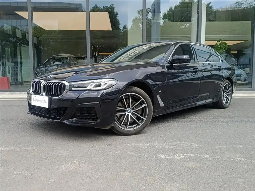 BMW 5 Series 2023 из CN, фото 2