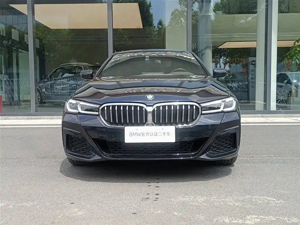 BMW 5 Series 2023 из CN, фото 3