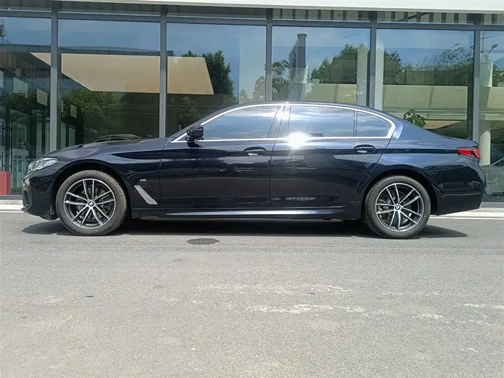 BMW 5 Series 2023 из CN, фото 4