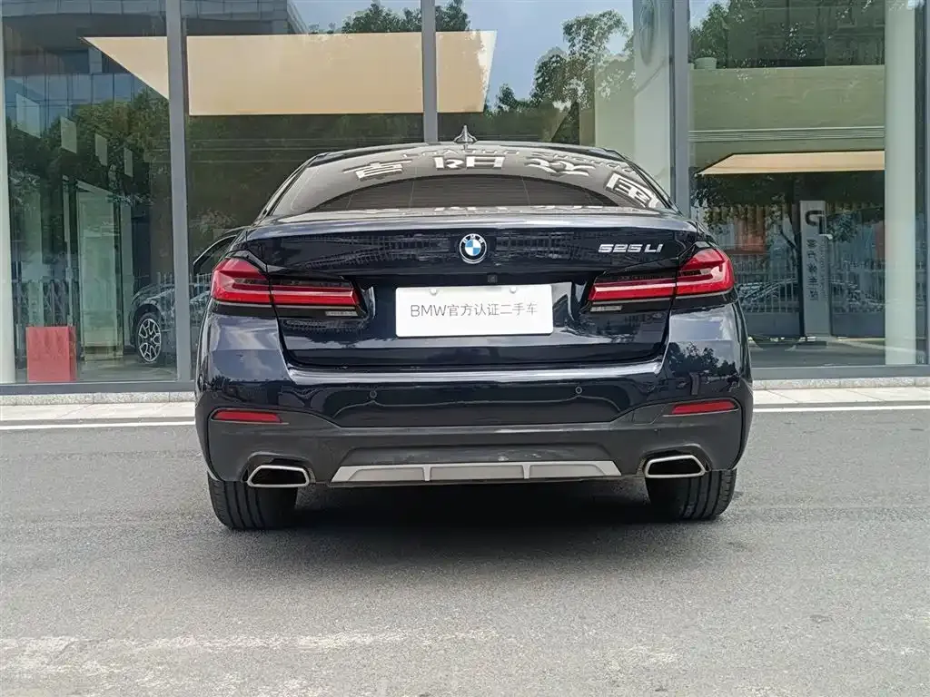 BMW 5 Series 2023 из CN, фото 5