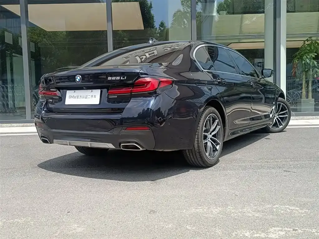 BMW 5 Series 2023 из CN, фото 6
