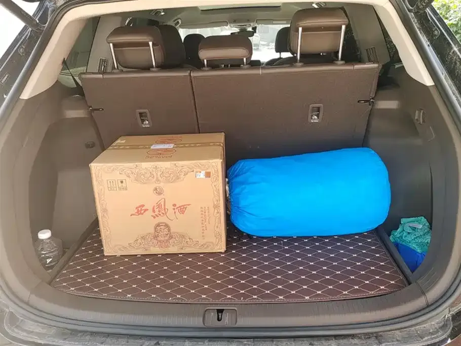 Volkswagen Viloran 2023 из CN, фото 4