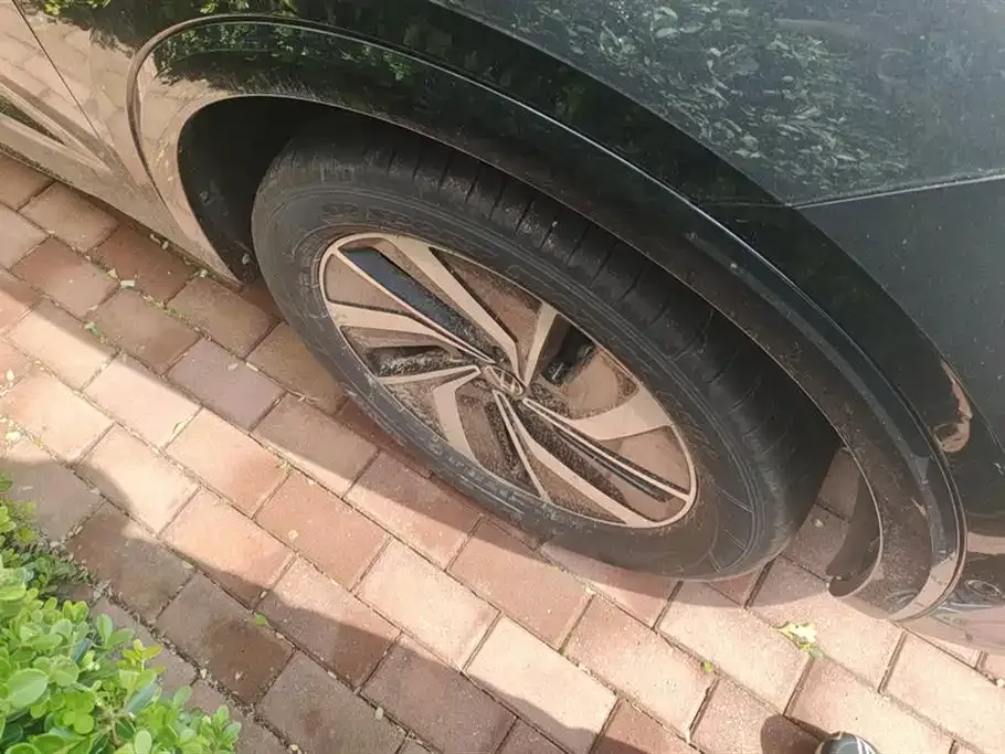 Volkswagen Viloran 2023 из CN, фото 6