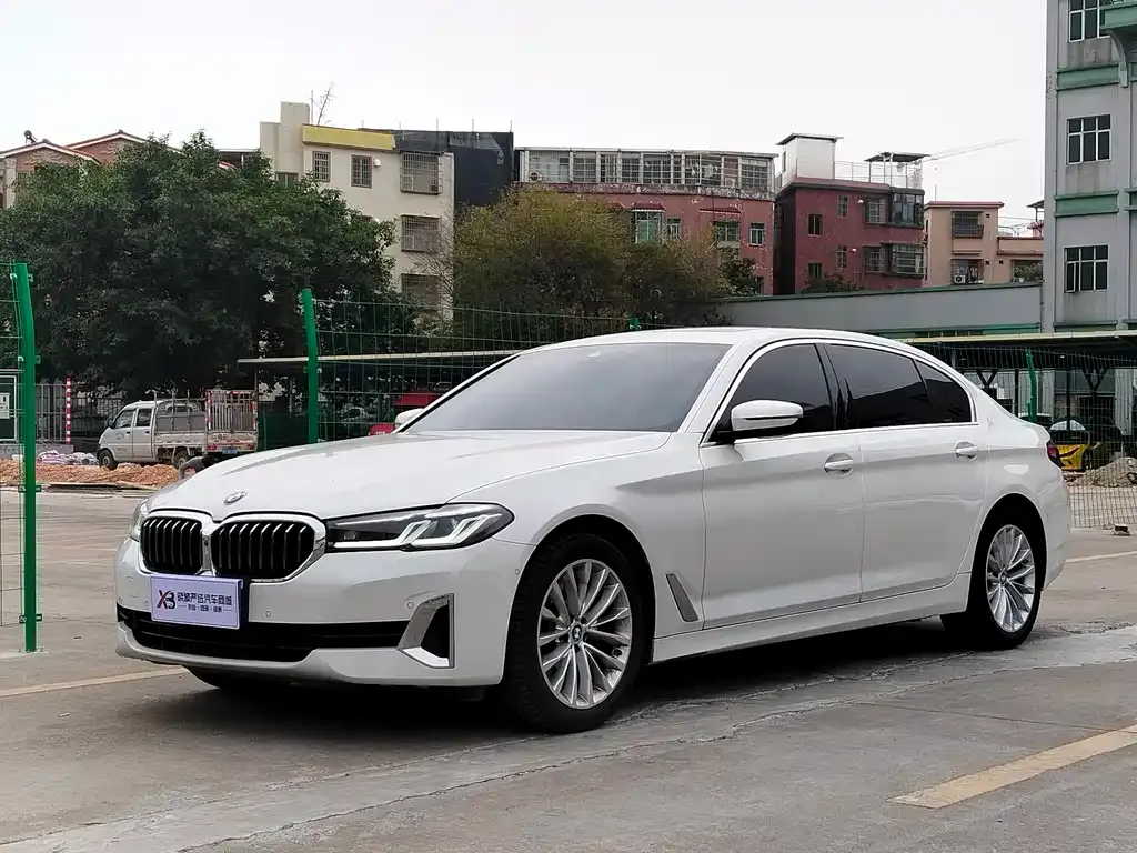 BMW 5 Series 2021 из CN, фото 1