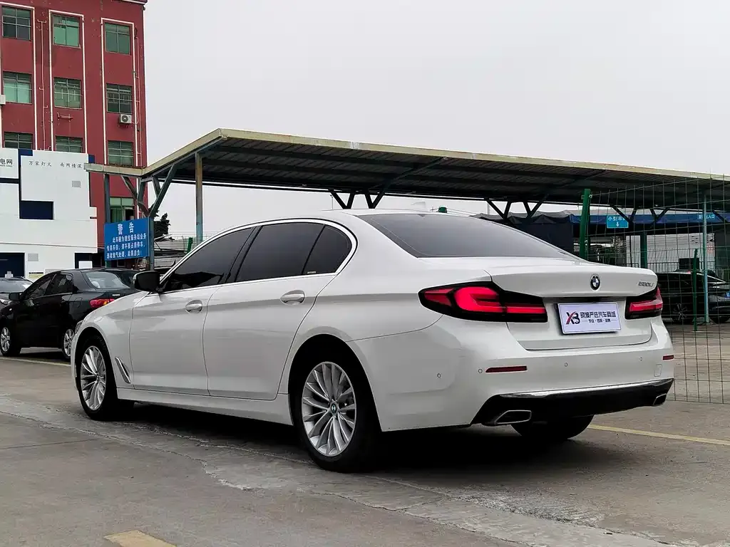 BMW 5 Series 2021 из CN, фото 4