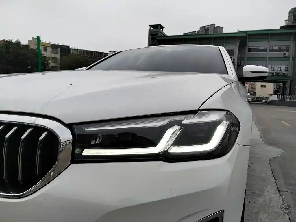 BMW 5 Series 2021 из CN, фото 7
