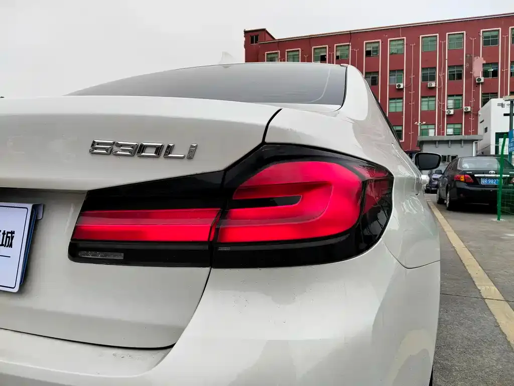 BMW 5 Series 2021 из CN, фото 8