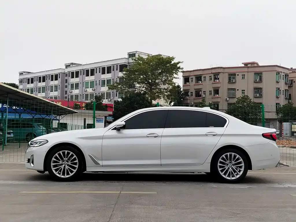 BMW 5 Series 2021 из CN, фото 9
