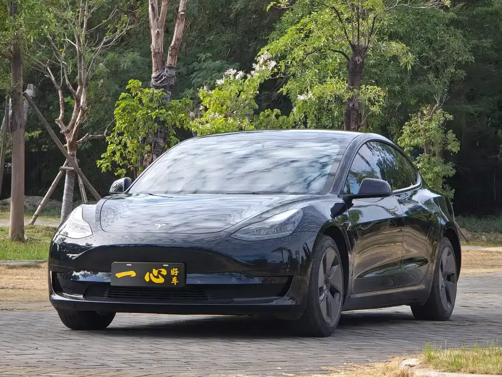 Tesla Model 3 2021 из CN, фото 1