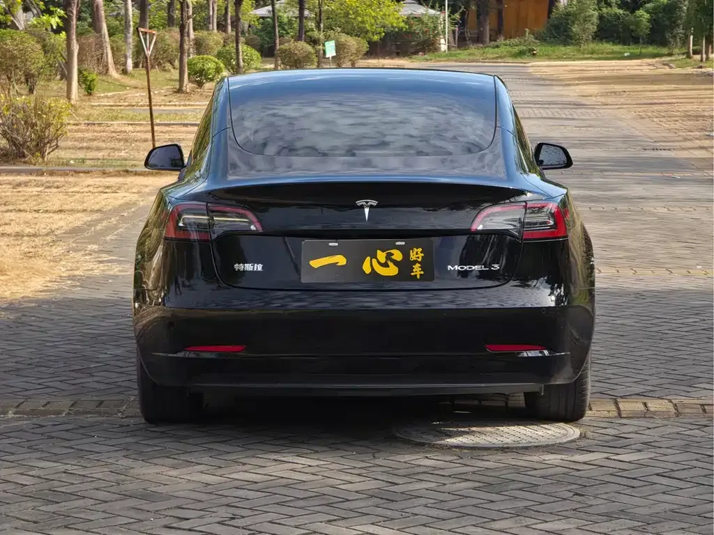 Tesla Model 3 2021 из CN, фото 10