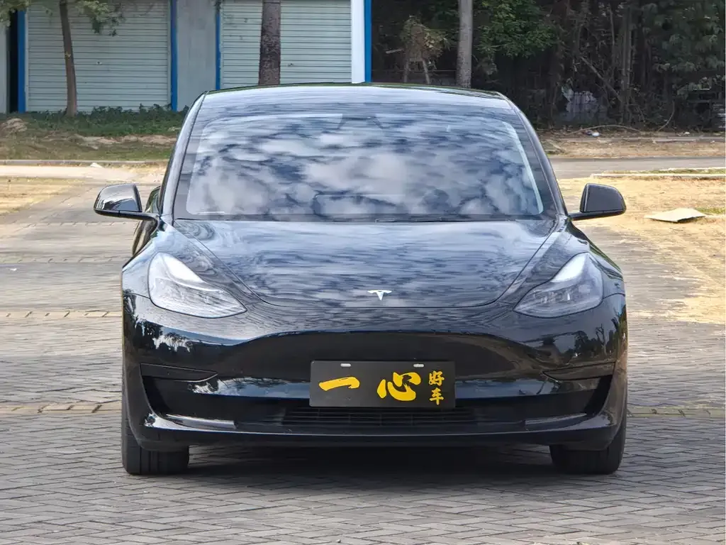 Tesla Model 3 2021 из CN, фото 2