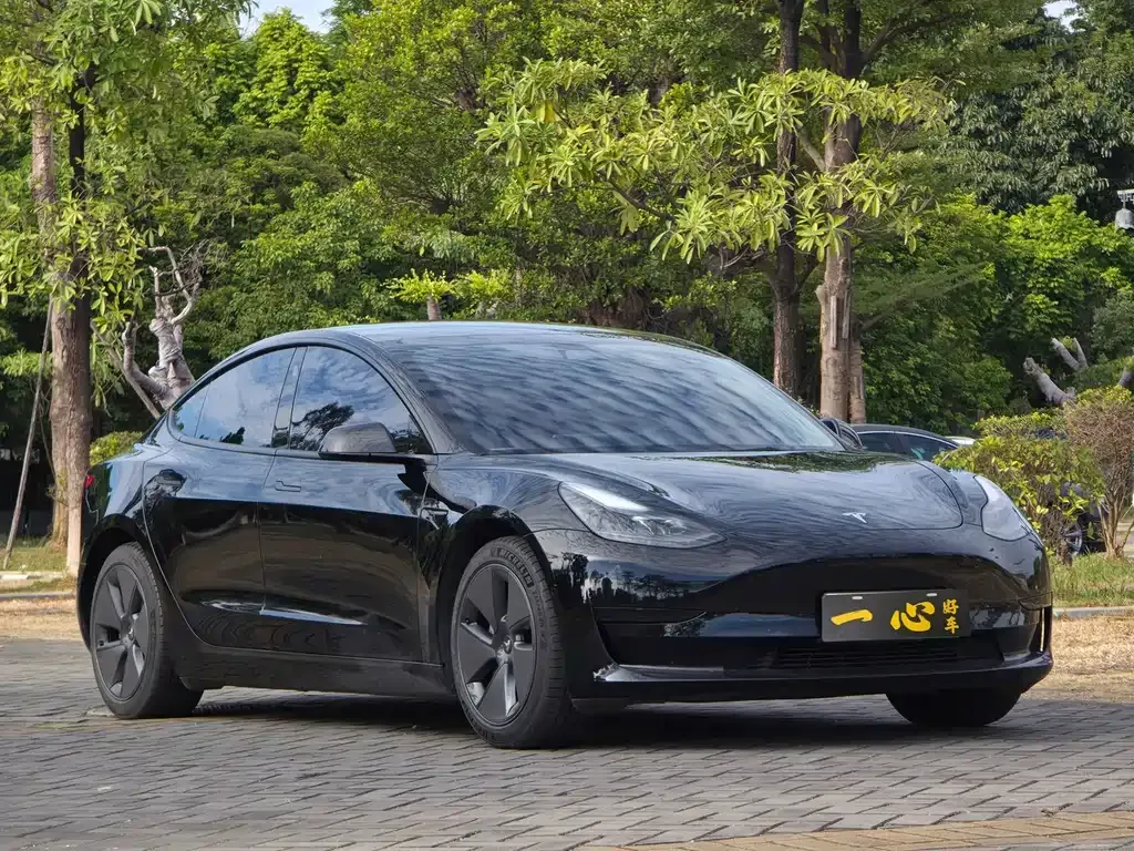 Tesla Model 3 2021 из CN, фото 3