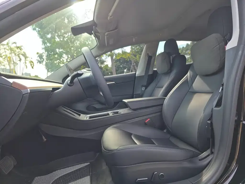Tesla Model 3 2021 из CN, фото 4