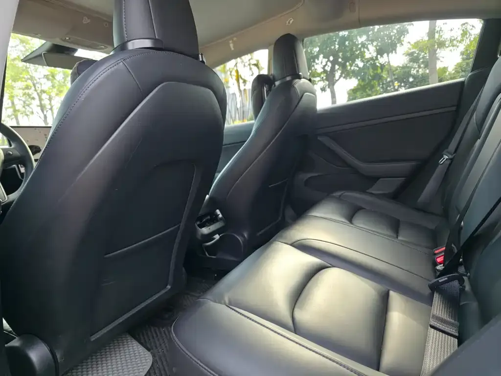 Tesla Model 3 2021 из CN, фото 5