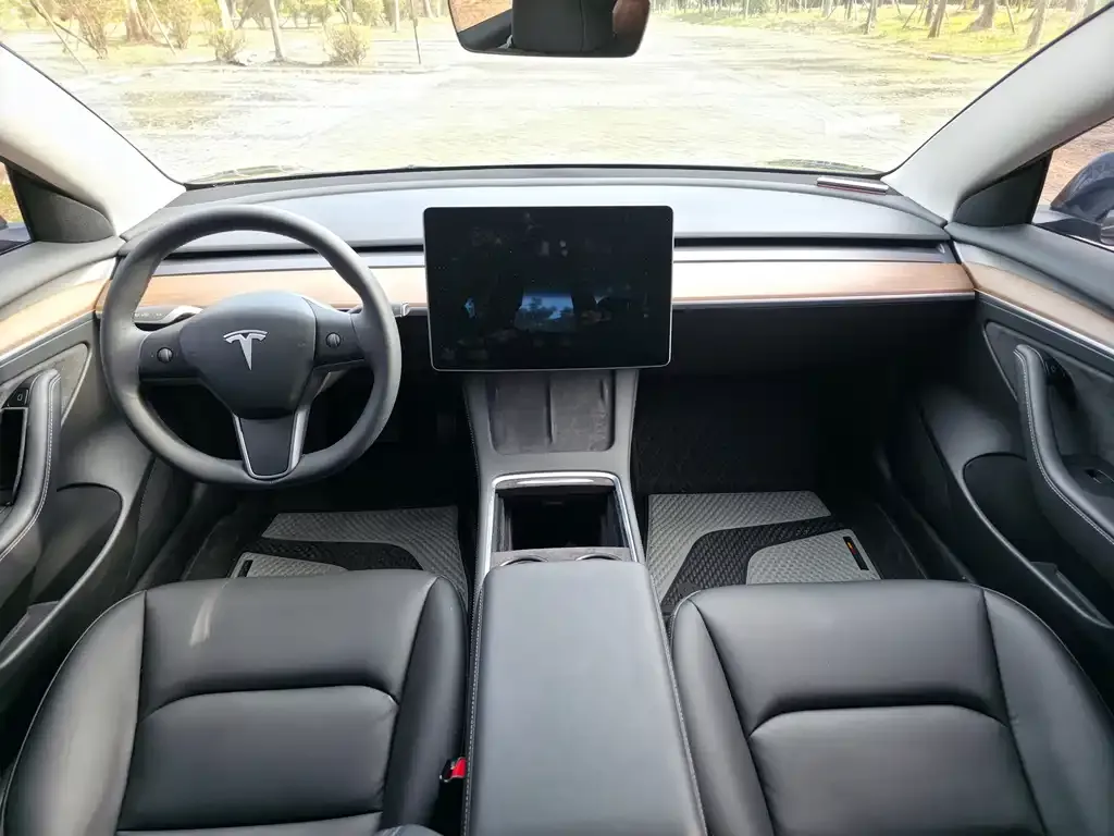 Tesla Model 3 2021 из CN, фото 6