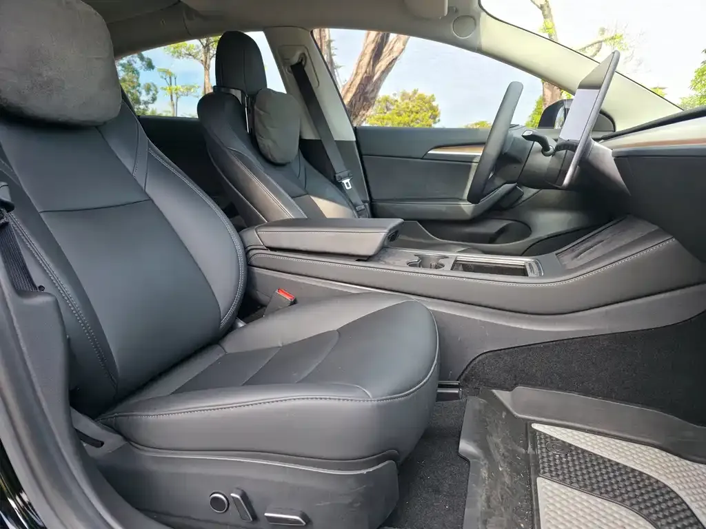Tesla Model 3 2021 из CN, фото 7