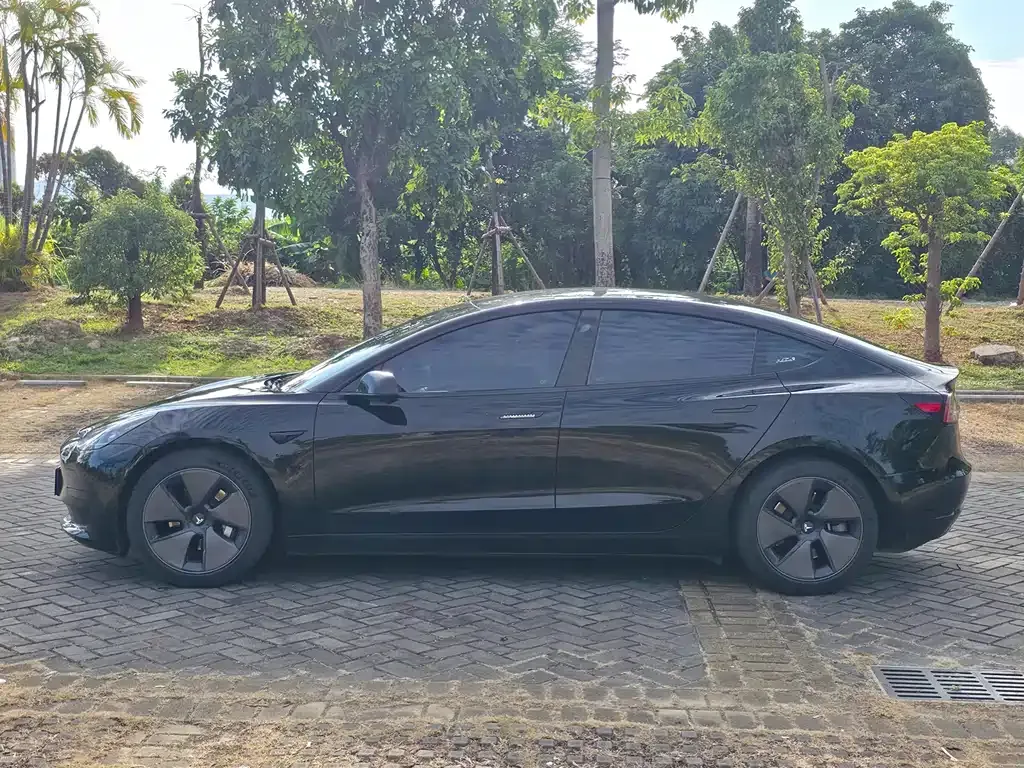 Tesla Model 3 2021 из CN, фото 8