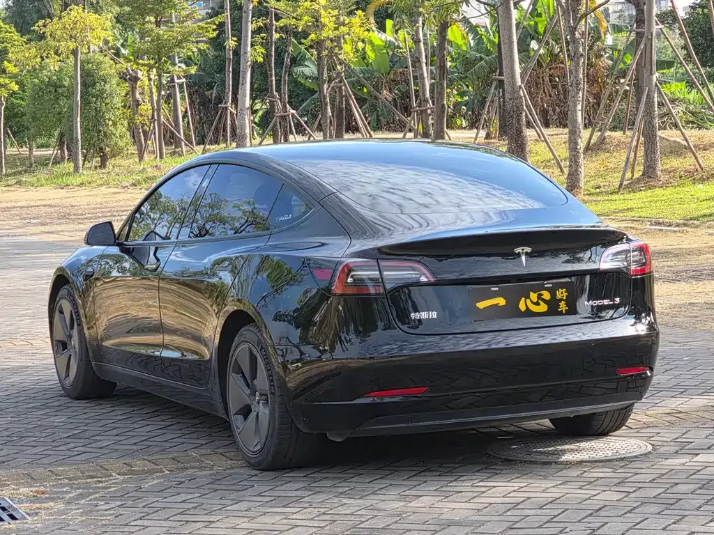 Tesla Model 3 2021 из CN, фото 9