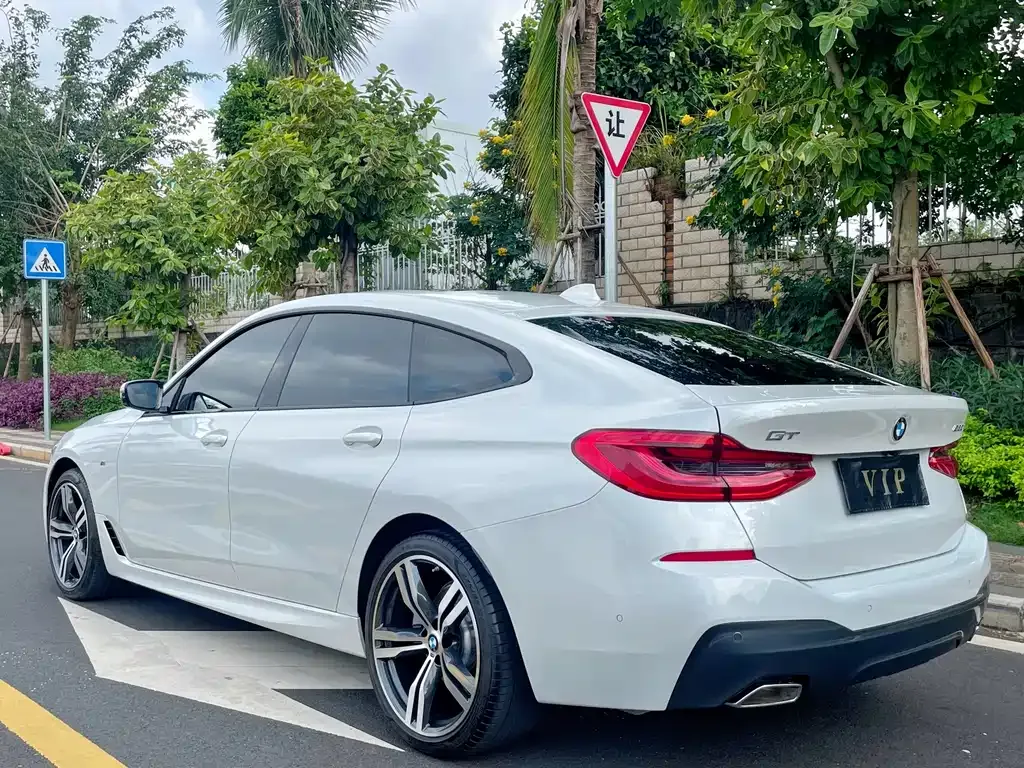 BMW 6 Series GT 2022 из CN, фото 9