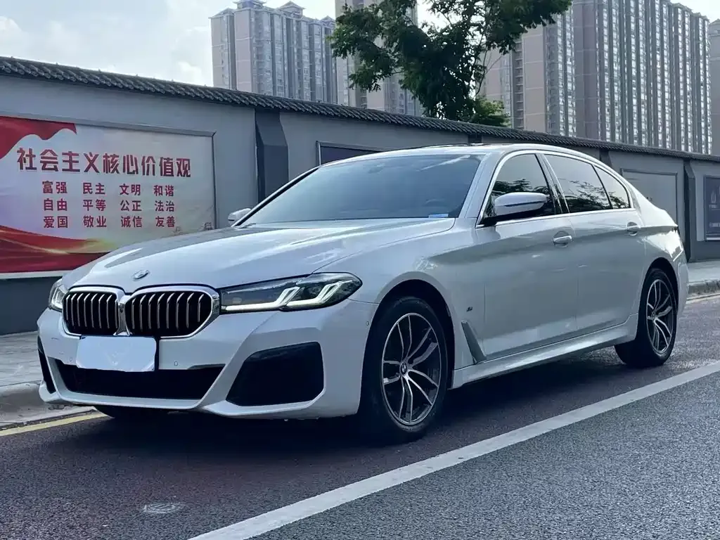 BMW 5 Series 2021 из CN, фото 1