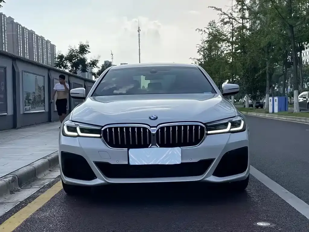 BMW 5 Series 2021 из CN, фото 2