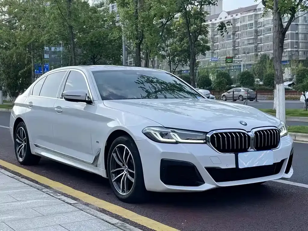 BMW 5 Series 2021 из CN, фото 3