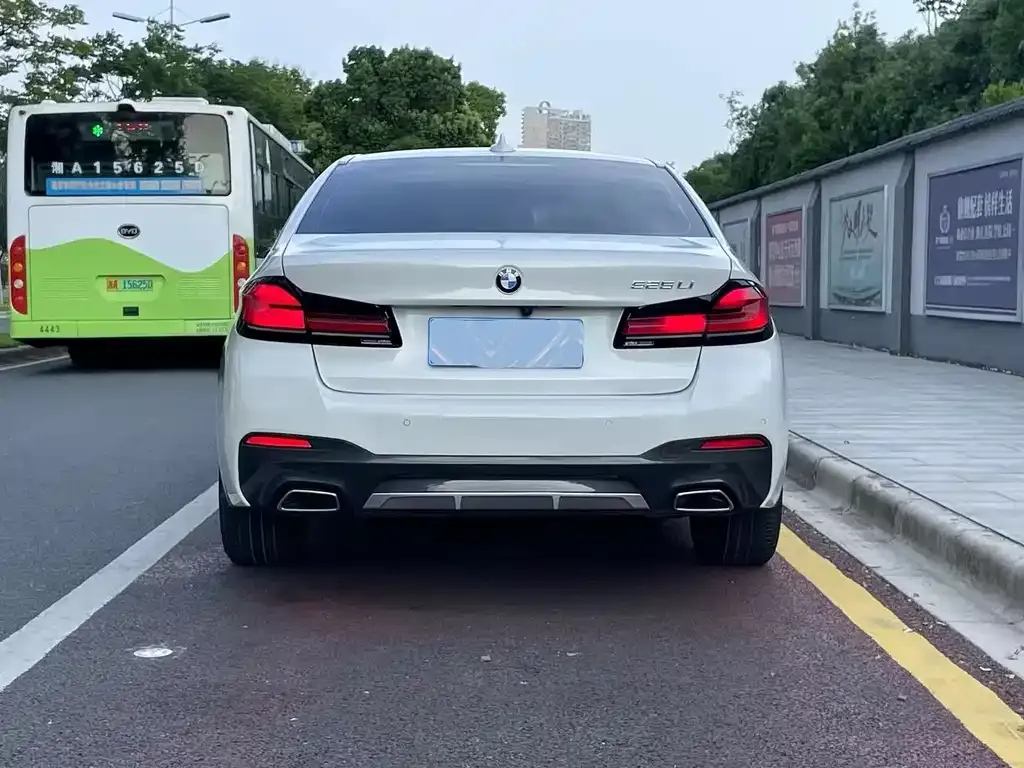 BMW 5 Series 2021 из CN, фото 4