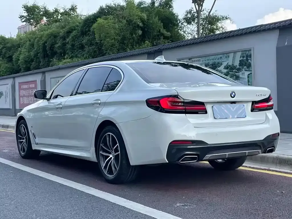 BMW 5 Series 2021 из CN, фото 5