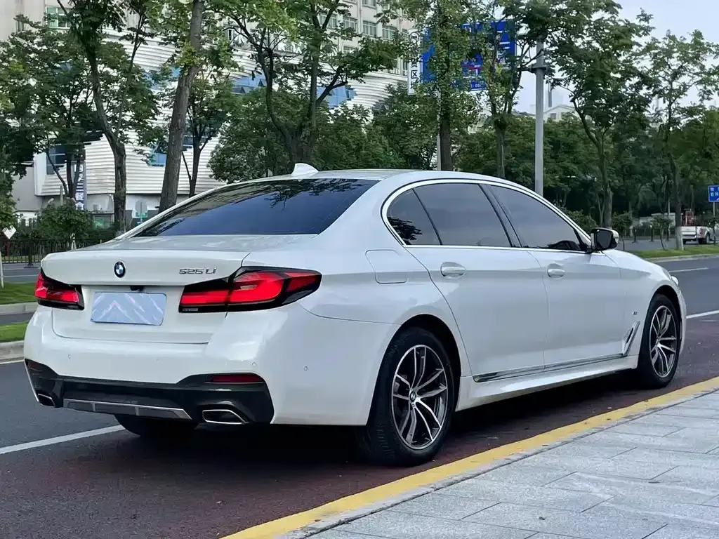 BMW 5 Series 2021 из CN, фото 6