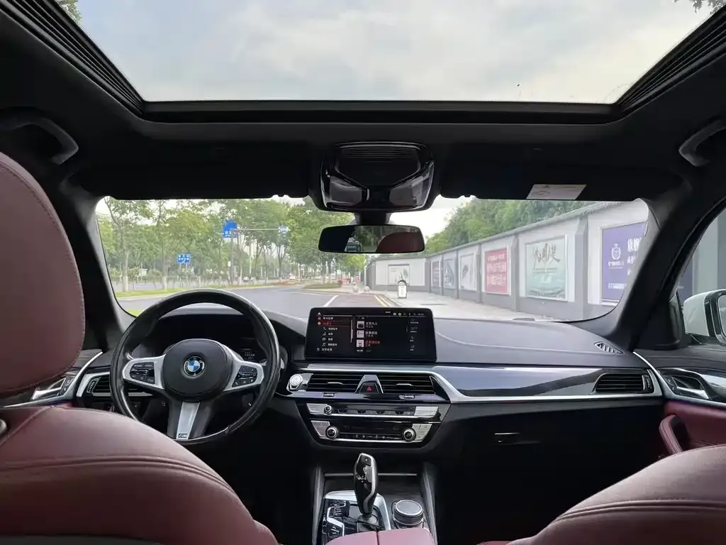 BMW 5 Series 2021 из CN, фото 8