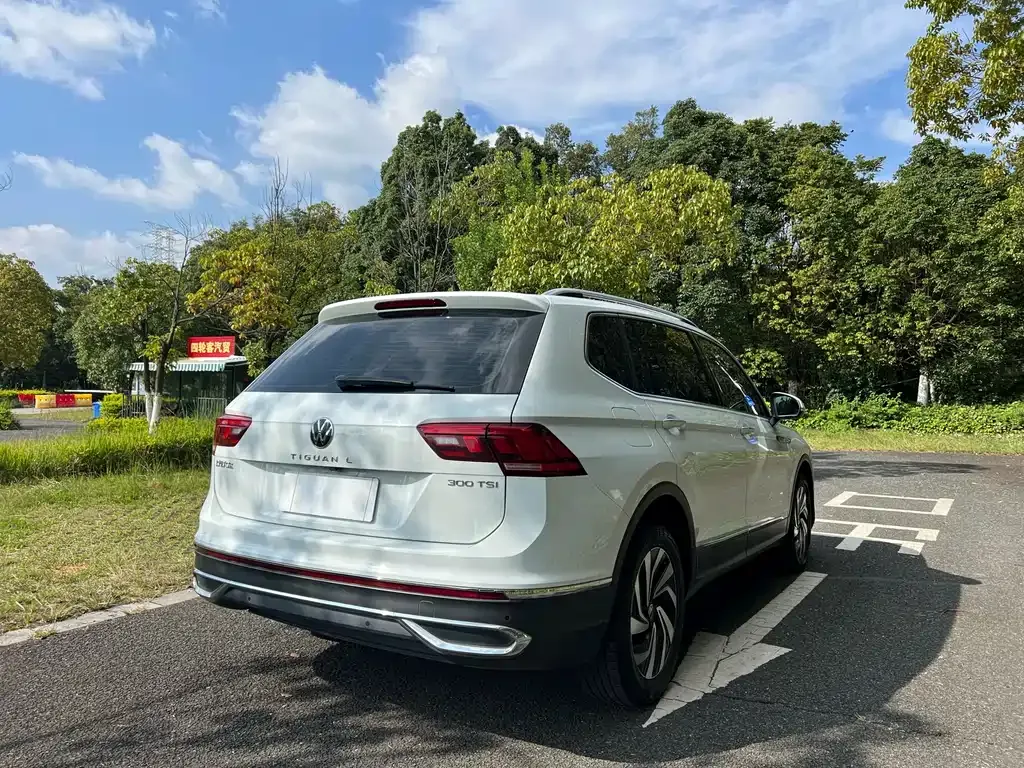 Volkswagen Tiguan L 2023 из CN, фото 4