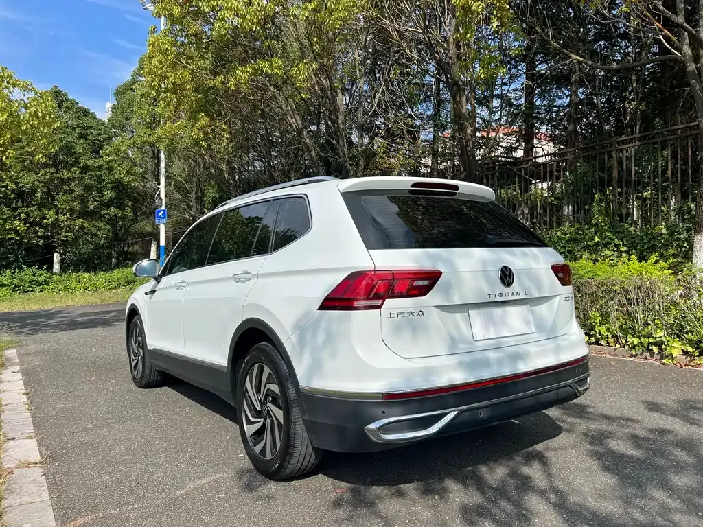 Volkswagen Tiguan L 2023 из CN, фото 6