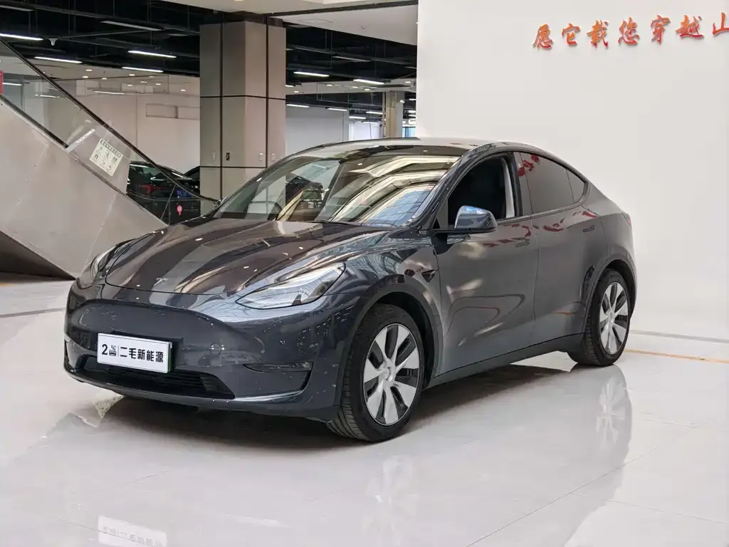 Tesla Model Y 2021 из CN, фото 1